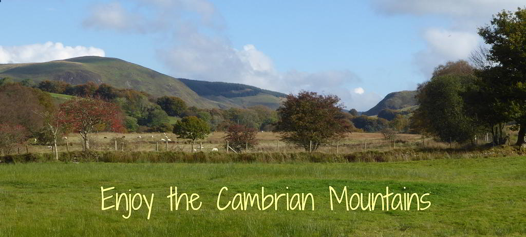 View of Cambrian Mountains