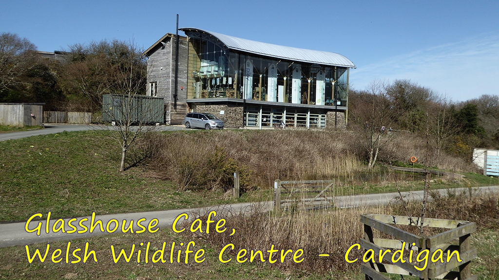 Welsh Wildlife Centre Glasshouse Cafe