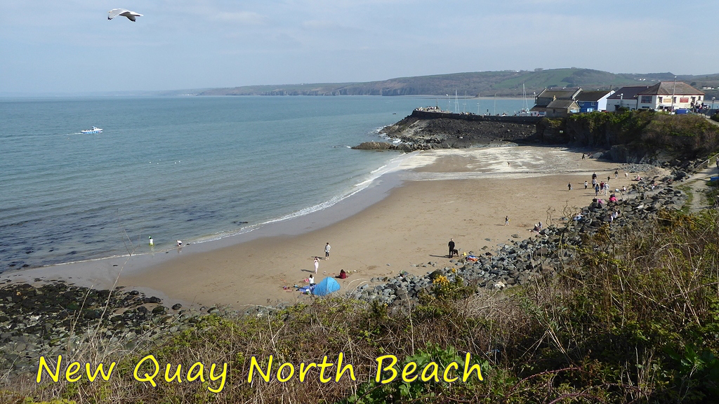 View of New Quay North Beach