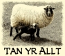Tan yr Allt logo