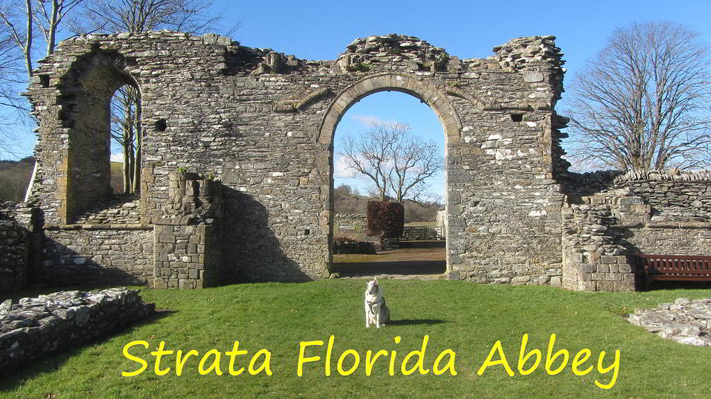 Strata Florida Abbey