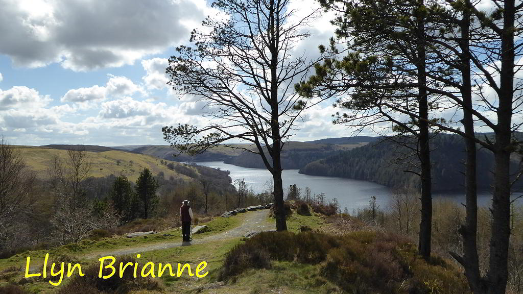 View of Llyn Brianne