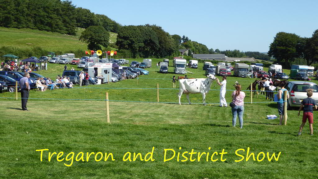 Treagaron and District Show