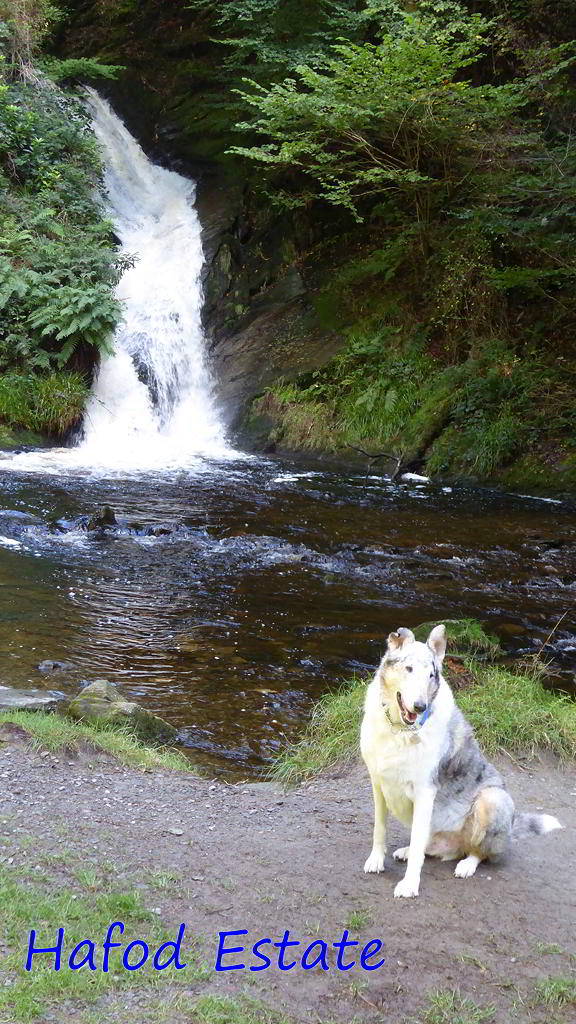 Peiran Falls-Hafod Estate