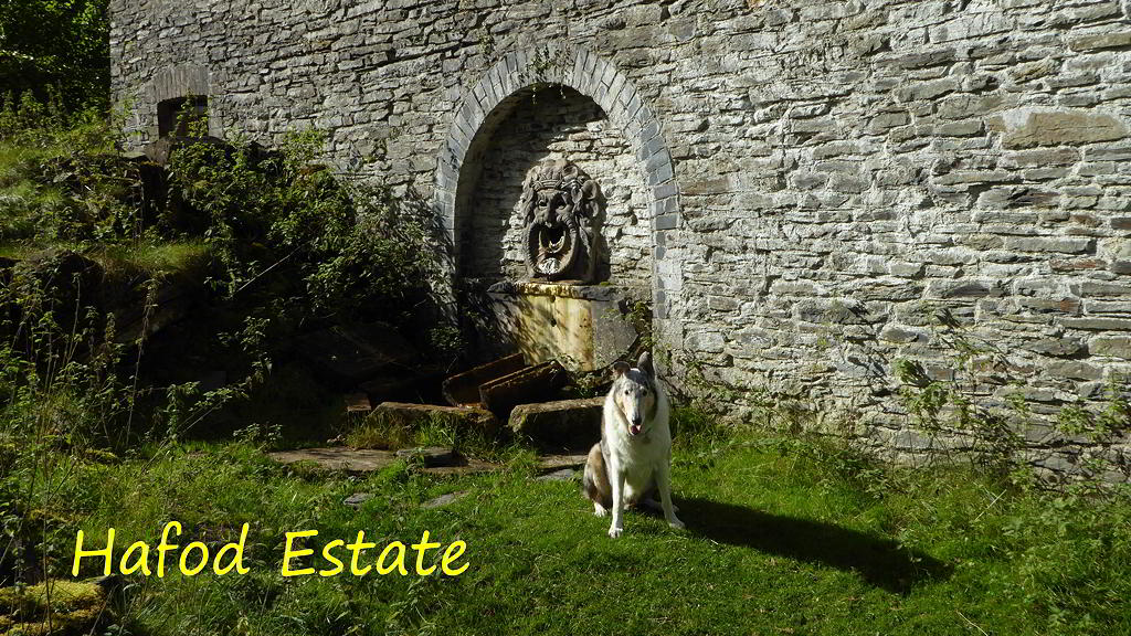 Hafod Mansion Green Man Fountain Wall Sculpture-Hafod Estate