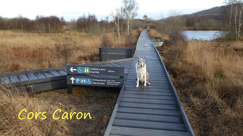 Cors Caron BoardWalk