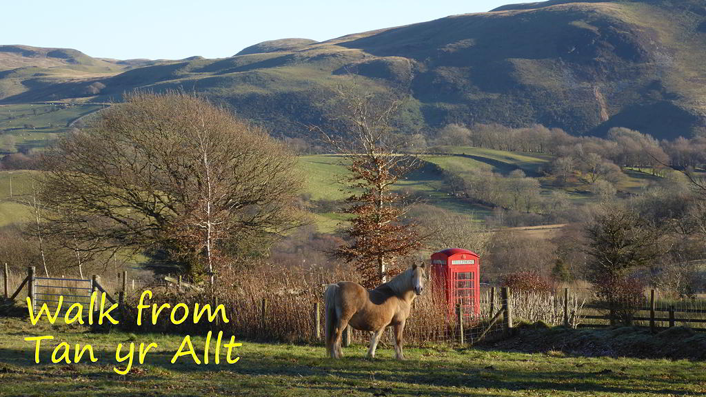 View of Cambrian Mountains 