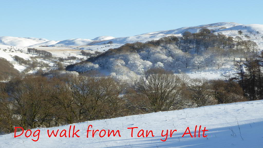 Snow on the Cambrian Mountains