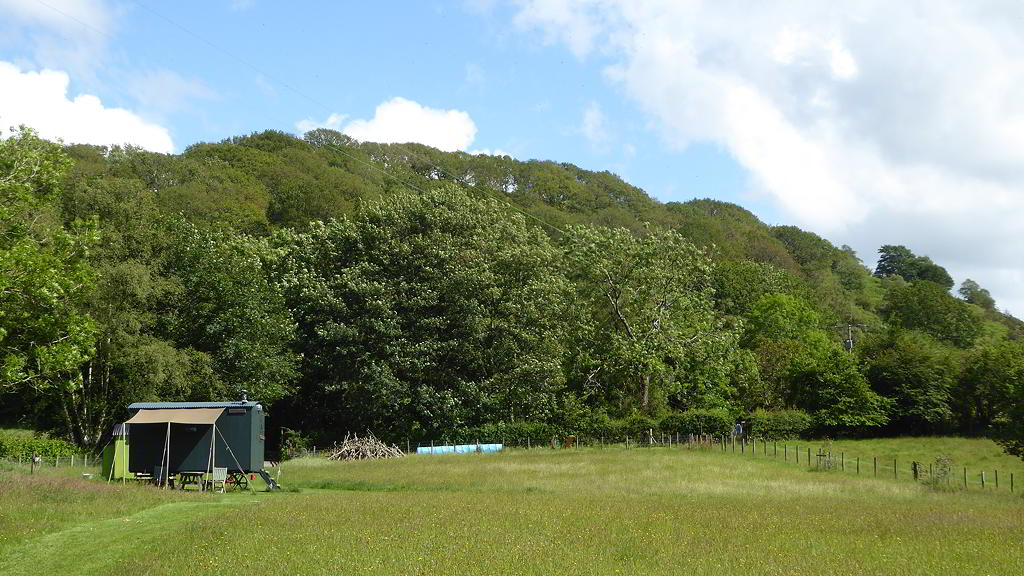 View of the Hygge Hut and canopy and woody hill