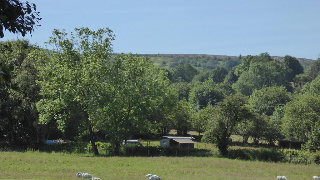 Hygge Hut from the Road and woody hill in the background