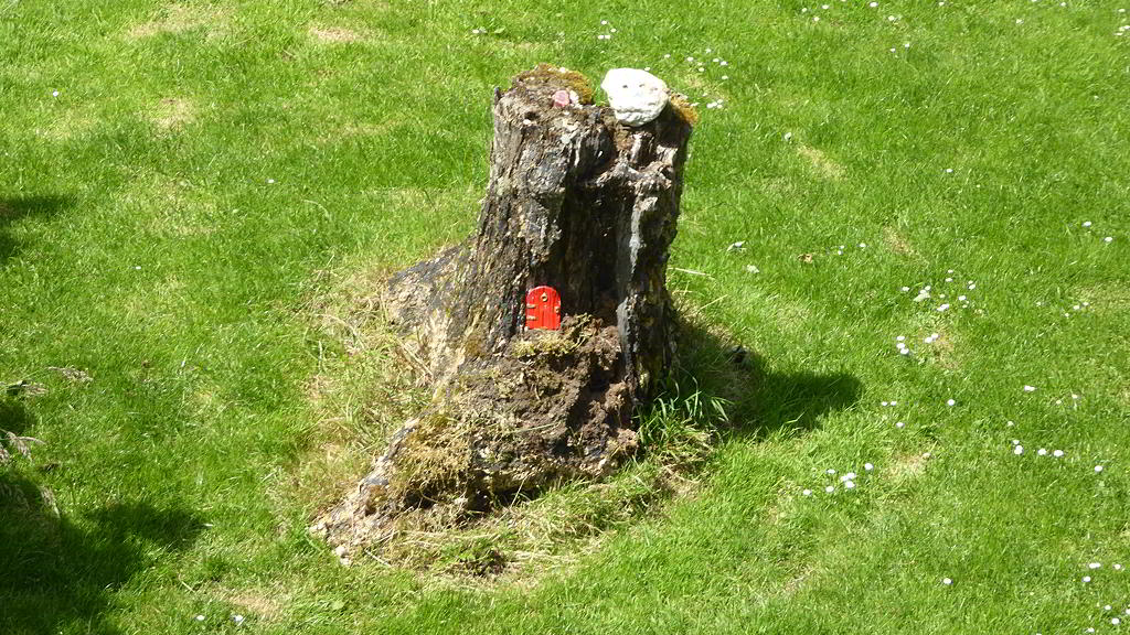 Fairy door in tree stump