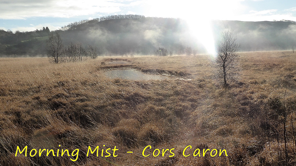 Morning Mist at Cors Caron