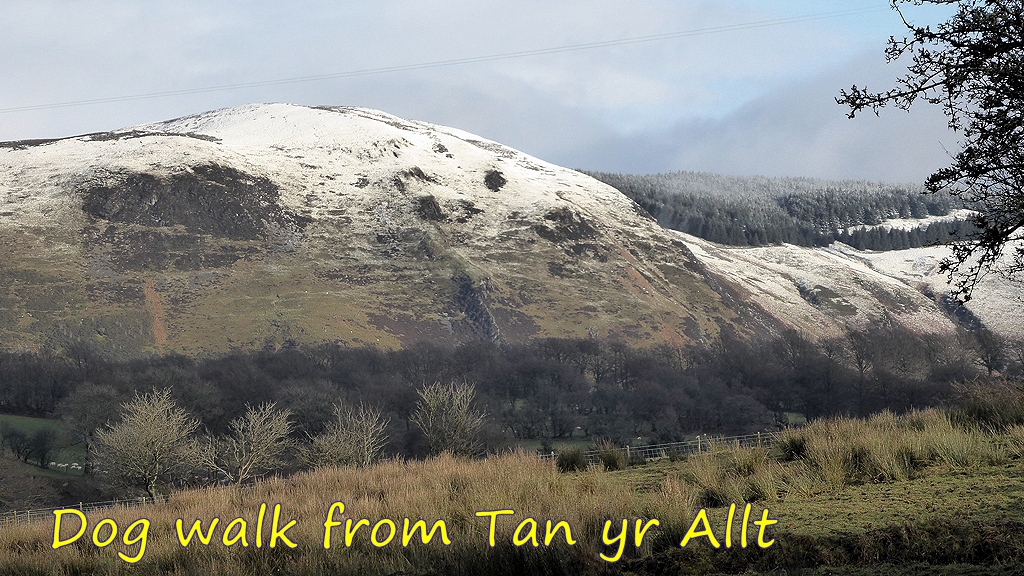 Dog Walk from Tan yr Allt