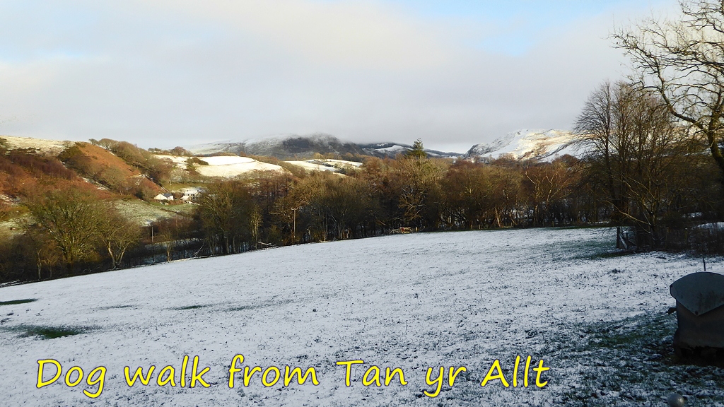 Dog Walk from Tan yr Allt