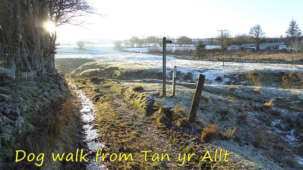 Dog Walk from Tan yr Allt