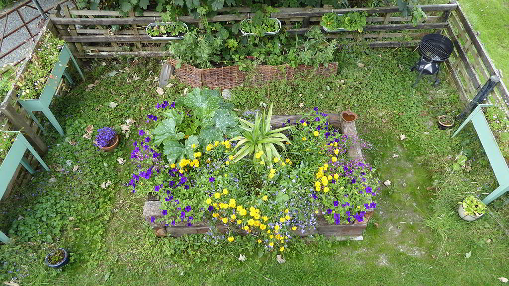 BBQ and flower bed