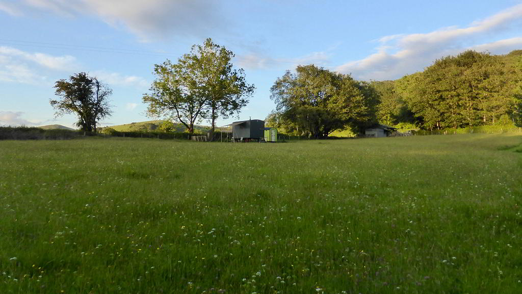 View of the Hygge Hut in the Meadow